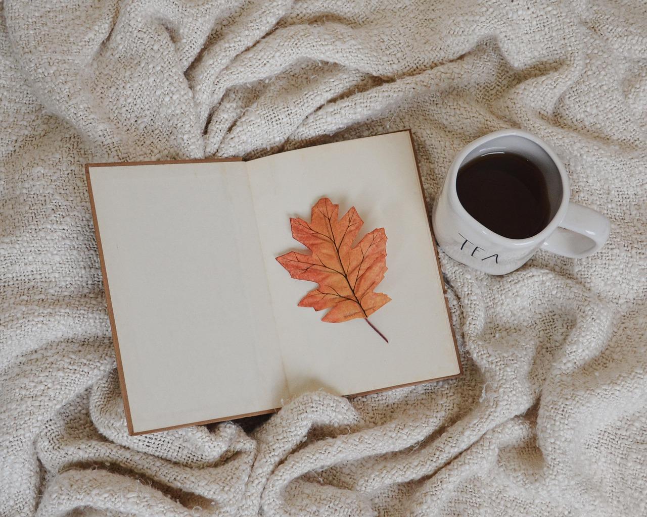 Decke mit aufgeschlagenem Buch, ein herbstliches Blatt liegt darauf, daneben eine Tasse Tee
