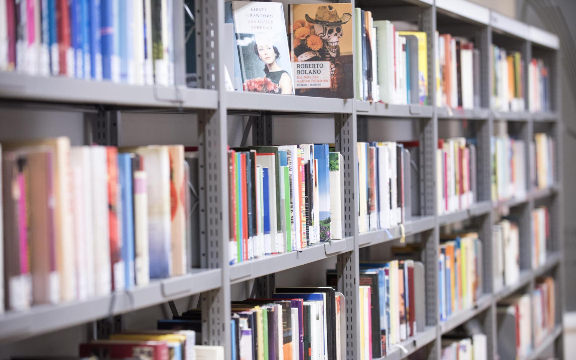 Regale mit sortierten Büchern