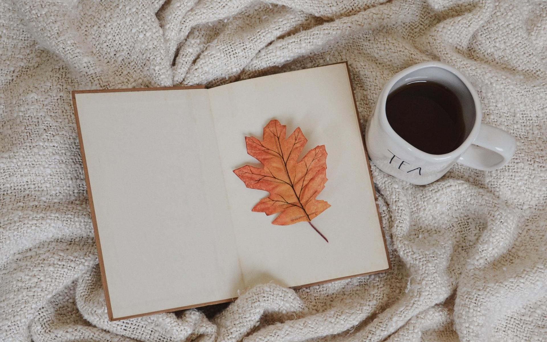 Decke mit aufgeschlagenem Buch, ein herbstliches Blatt liegt darauf, daneben eine Tasse Tee