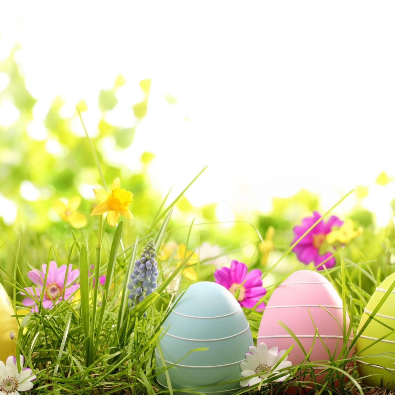 Bunte Ostereier in der Blumenwiese