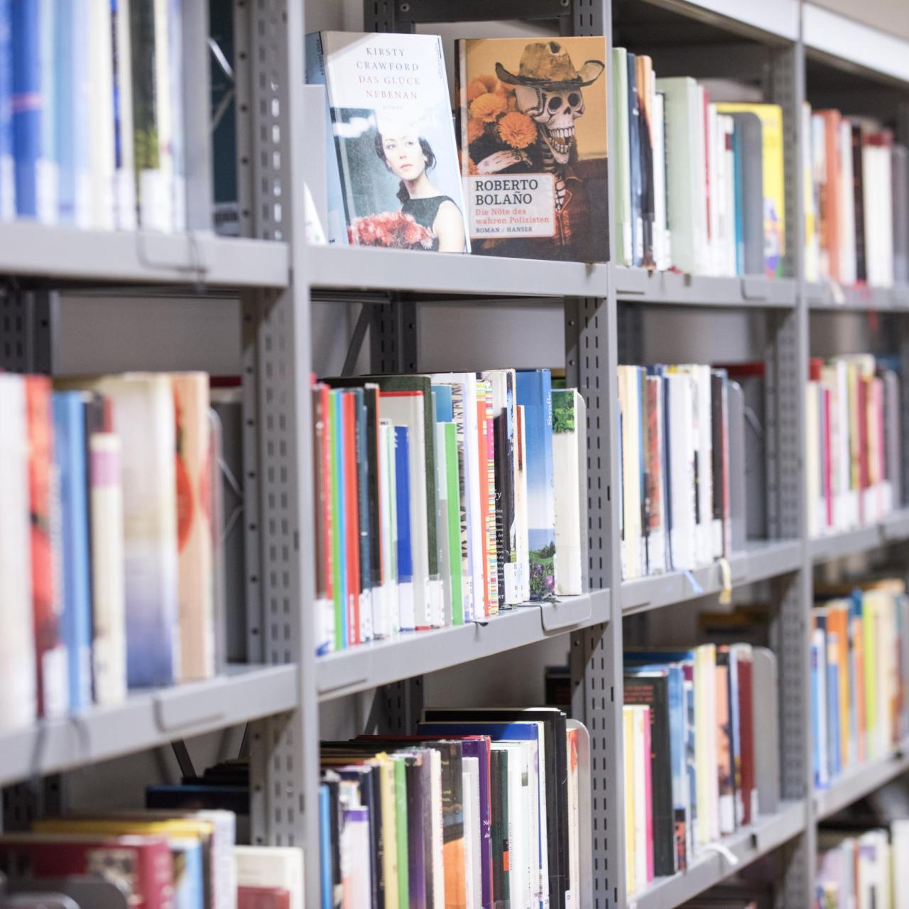 Regale mit sortierten Büchern